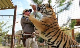 腾虎什么时候爆料的啊视频,揭秘幕后真相