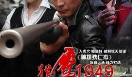 电视剧猎鹰1949全集在线观看免费,揭秘抗战时期传奇猎鹰队的英勇事迹