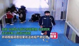 园长爆料幼师视频大全,幼师视频大全背后的真实故事